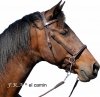 Ogłowie bezwędzidłowe El Camin - F.R.A